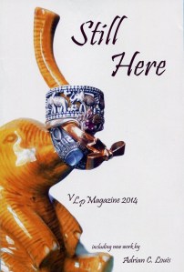 Vermillion Literary Project